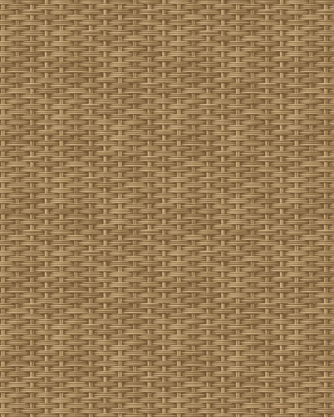 Papel de Parede 3103