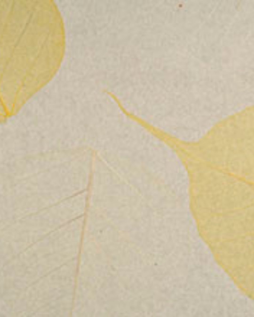 Papel de Parede V6878