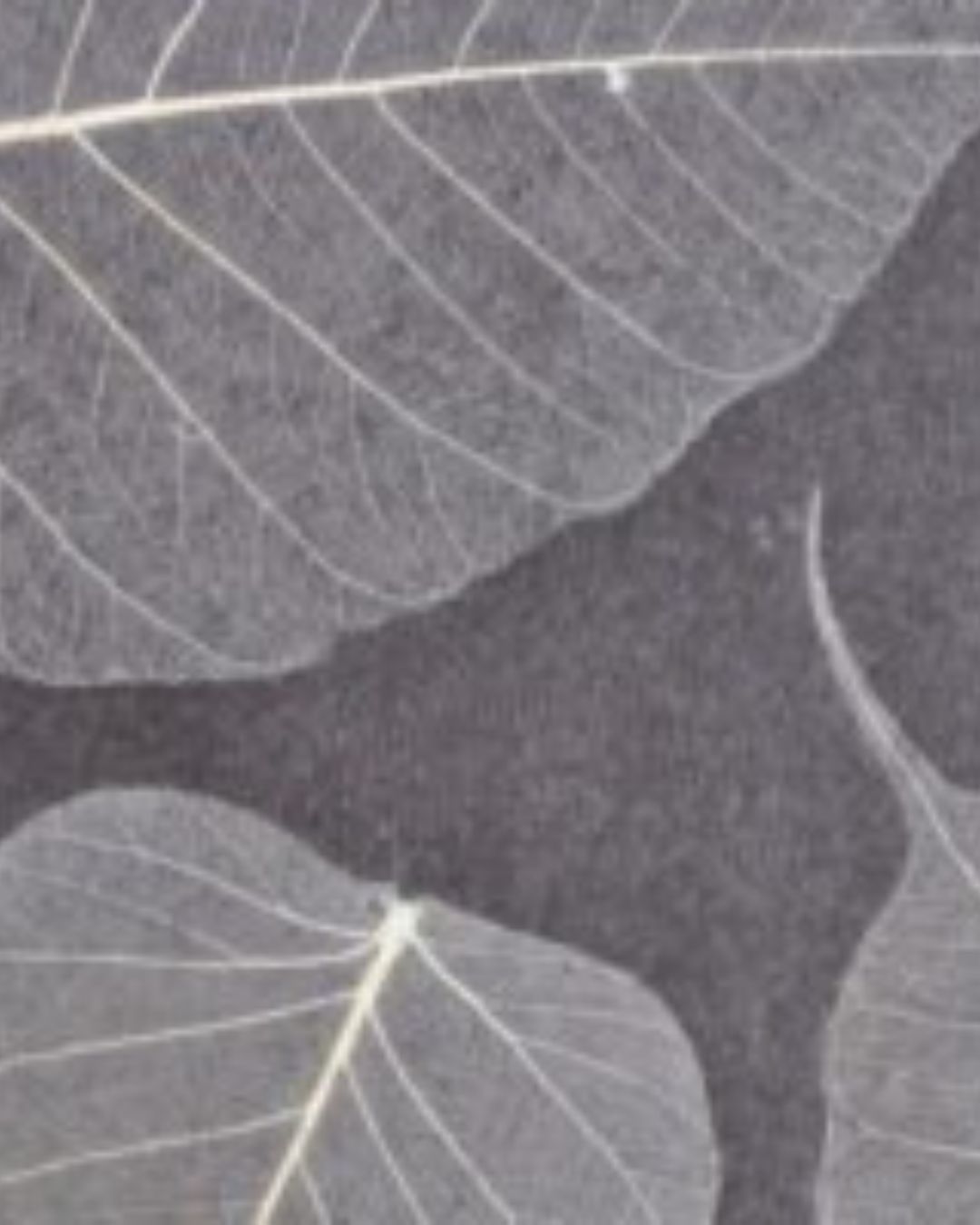 Papel de Parede Y111