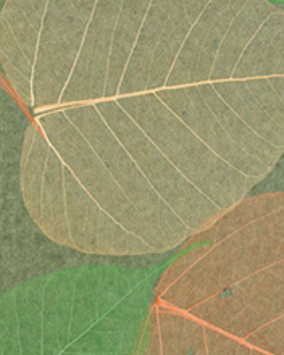Papel de Parede Y204