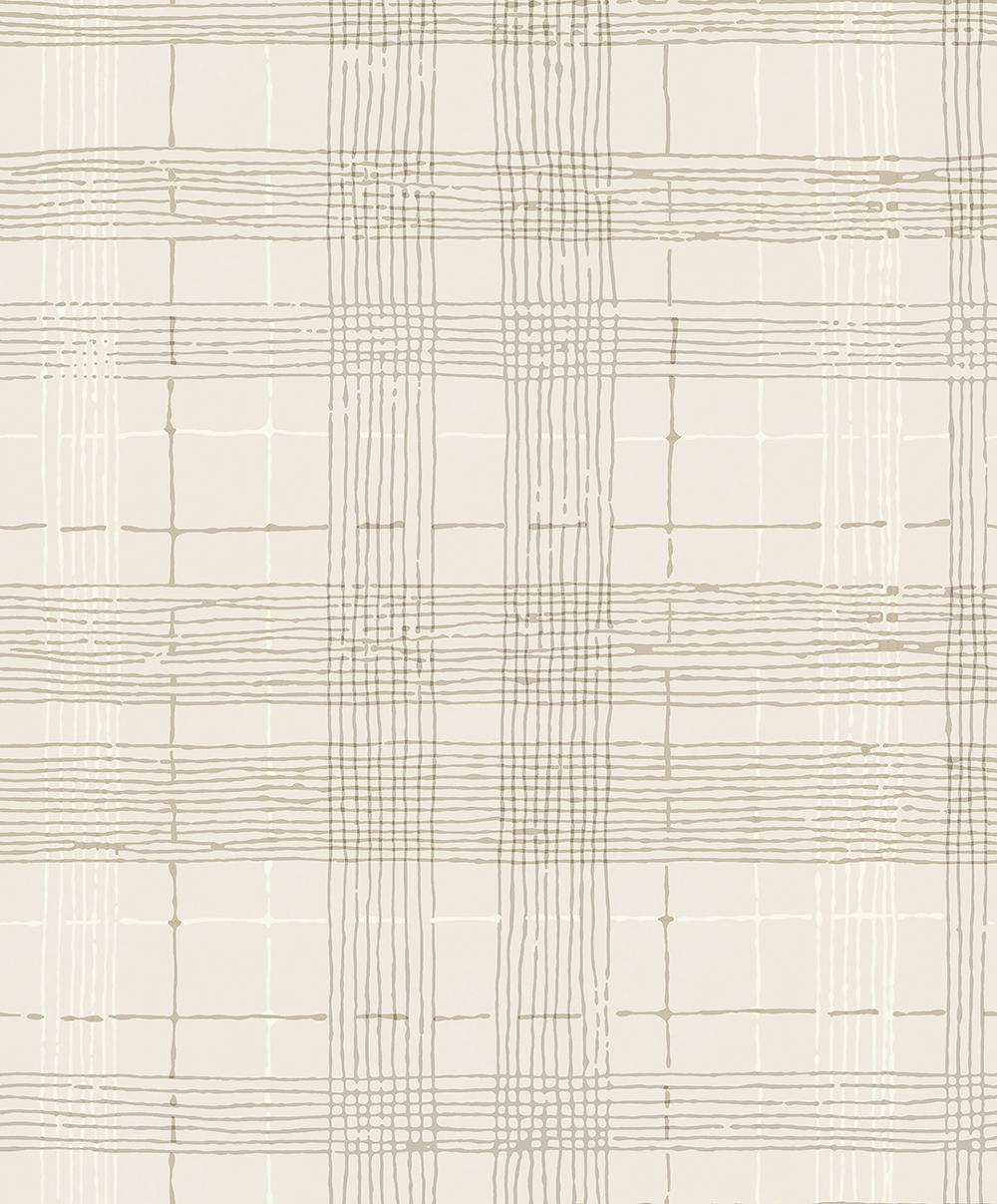 6-ENL-0019