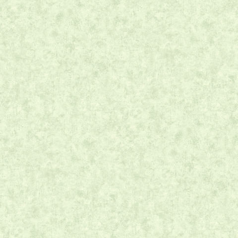 MC120042