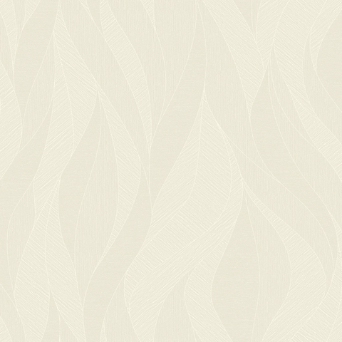 LP261905