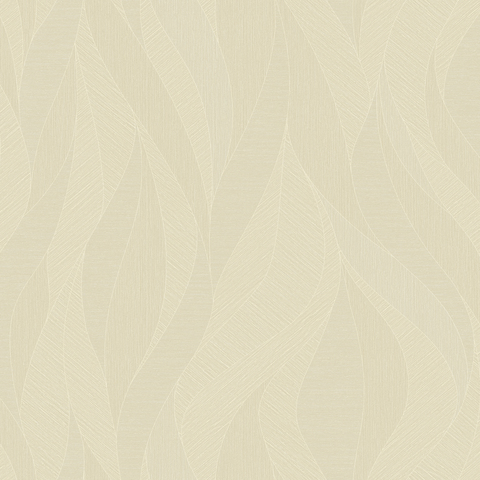 LP261906